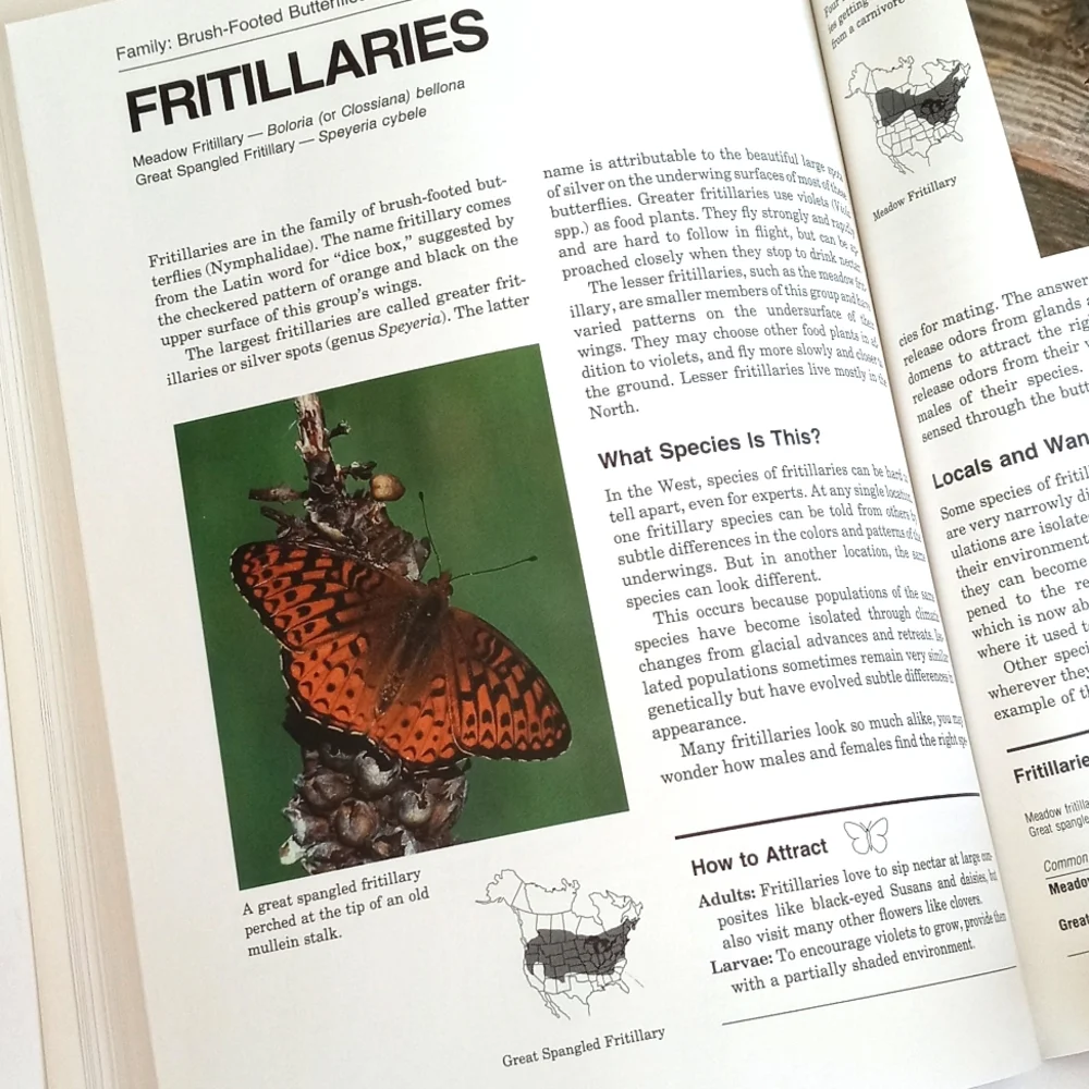 The Butterfly Book by Stokes and Williams (Butterfly and Gardening Planning)